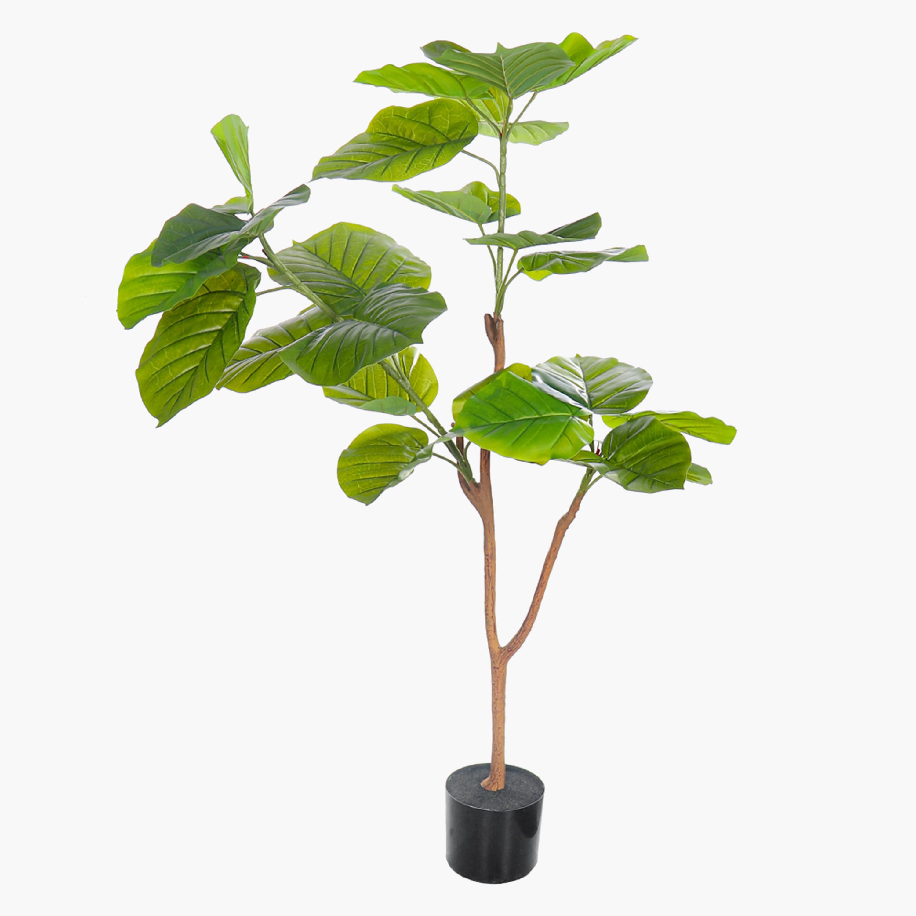 Fiddle Leaf Fig Tree - 115 cm