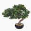 شجرة بونساي - 40 سم-household-gardenandoutdoor-artificialplants-bonsai-image-8