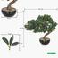 شجرة بونساي - 40 سم-household-gardenandoutdoor-artificialplants-bonsai-image-7
