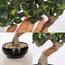 شجرة بونساي - 40 سم-household-gardenandoutdoor-artificialplants-bonsai-image-6