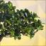 شجرة بونساي - 40 سم-household-gardenandoutdoor-artificialplants-bonsai-image-3