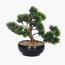شجرة بونساي الصنوبر الياباني - 30 سم-household-gardenandoutdoor-artificialplants-bonsai-image-8