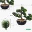 شجرة بونساي الصنوبر الياباني - 30 سم-household-gardenandoutdoor-artificialplants-bonsai-image-7