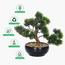شجرة بونساي الصنوبر الياباني - 30 سم-household-gardenandoutdoor-artificialplants-bonsai-image-5