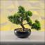 شجرة بونساي الصنوبر الياباني - 30 سم-household-gardenandoutdoor-artificialplants-bonsai-image-1