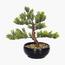 شجرة بونساي - 30 سم-household-gardenandoutdoor-artificialplants-bonsai-image-6