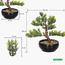 شجرة بونساي - 30 سم-household-gardenandoutdoor-artificialplants-bonsai-image-5