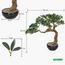 شجرة بونساي - 45 سم-household-gardenandoutdoor-artificialplants-bonsai-image-6