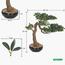 شجرة بونساي - 55 سم-household-gardenandoutdoor-artificialplants-bonsai-image-7