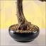 شجرة بونساي - 55 سم-household-gardenandoutdoor-artificialplants-bonsai-image-3