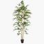 شجرة خيزران - 200 سم-InfluencerCodes_Ramadan26_All_20012026-image-8