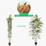 شجرة خيزران - 200 سم-InfluencerCodes_Ramadan26_All_20012026-image-6