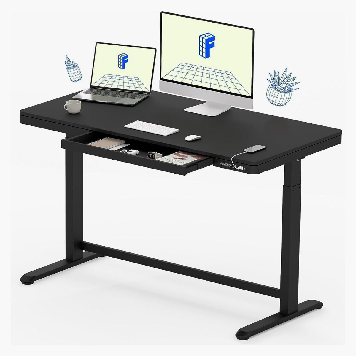 Mahmayi Flexispot Executive Desk
