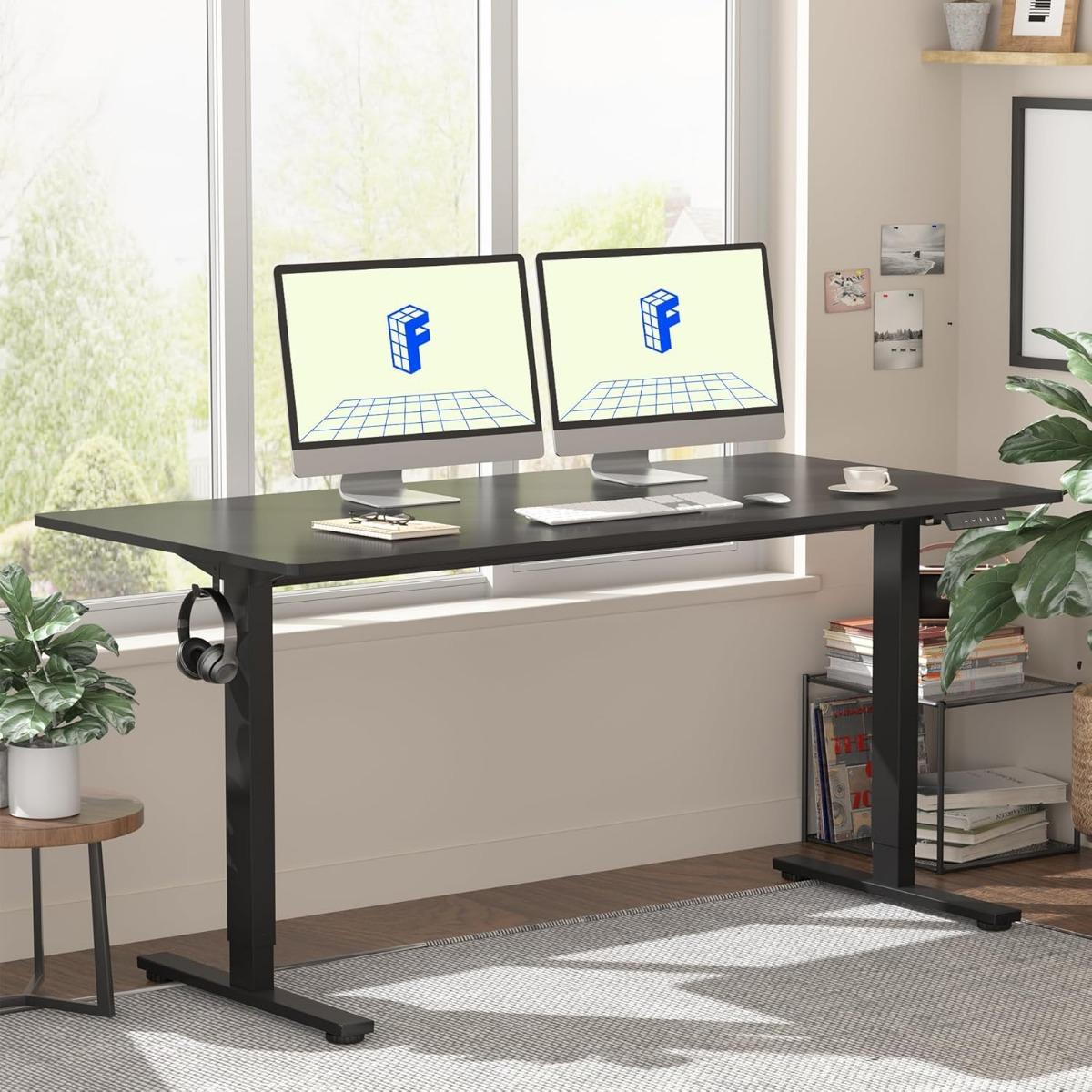 Mahmayi Flexispot Electric Stand Up Office Desk