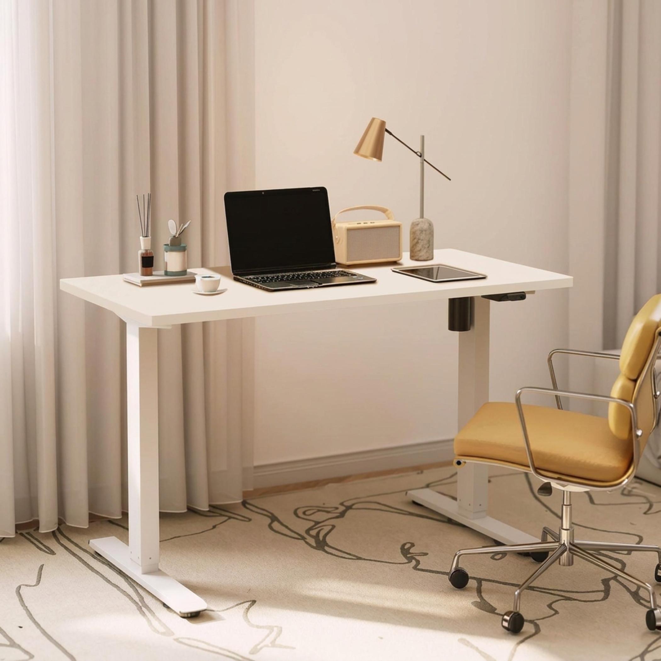 Mahmayi Flexispot Office Desk
