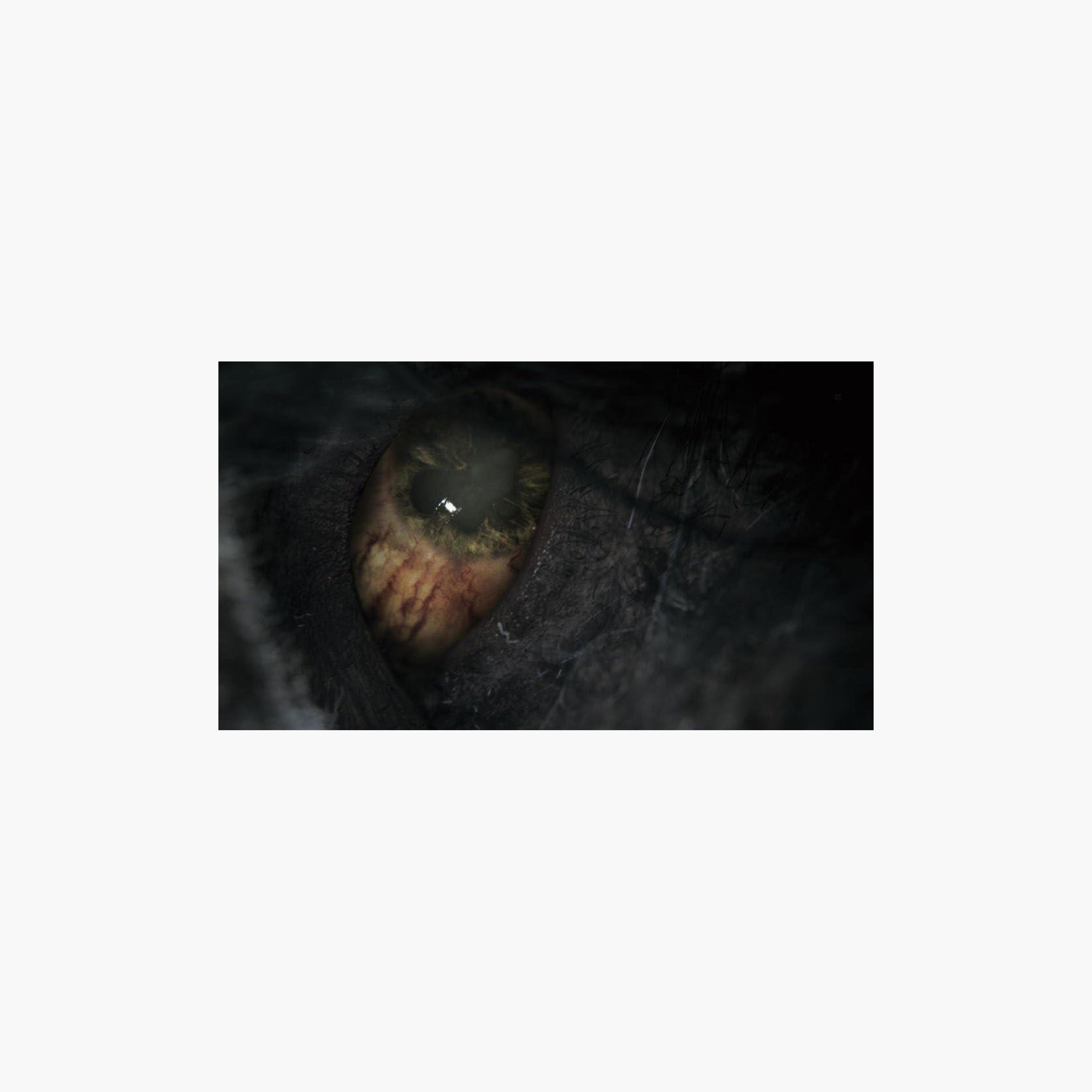 إصدار لعبة بلودبورن لعام 2015 على PS4 من سوني | CUSA-0317BLOODBORNEGOTY-electronics-gamesandconsoles-image-3