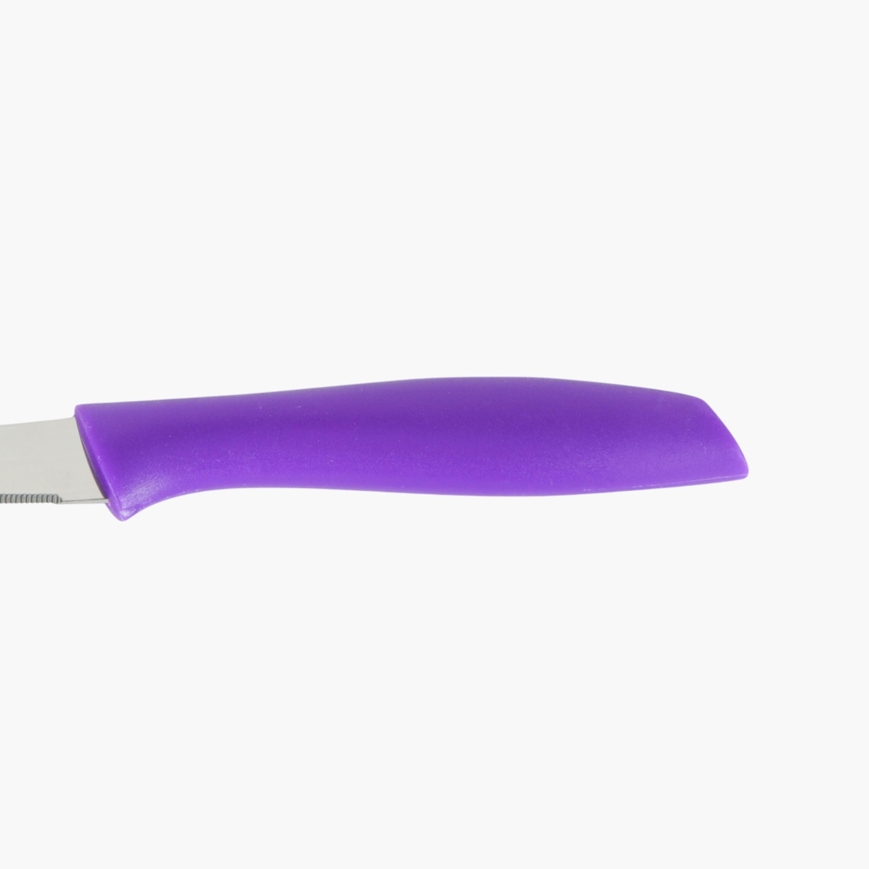 Stainless Steel Fruit Knife - Set of 2-household-kitchen-kitchentoolsandutensils-knives-image-5