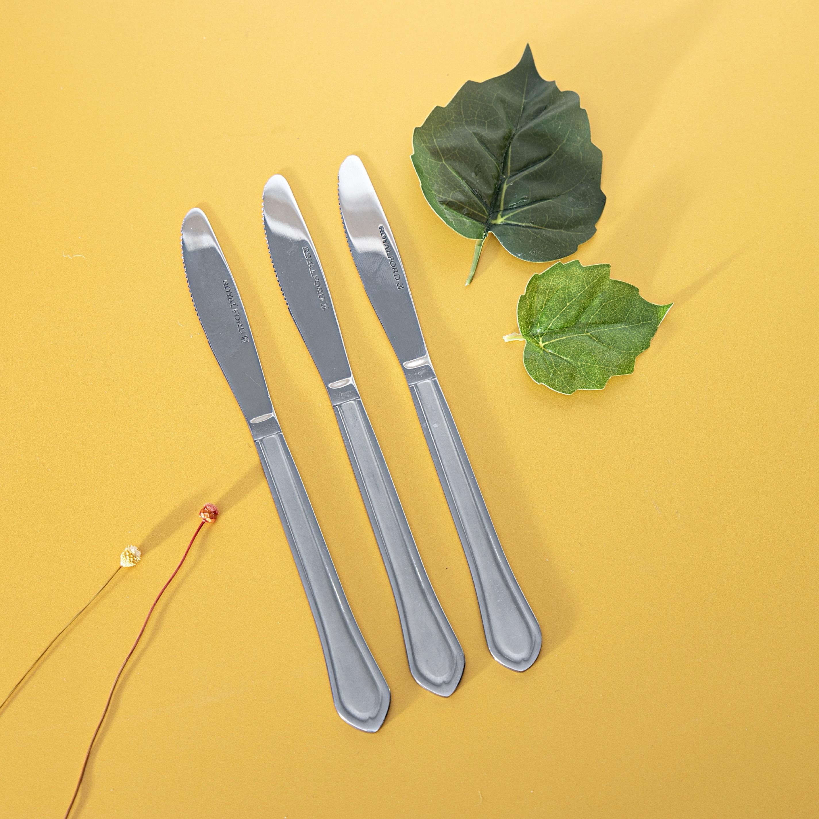 Stainless Steel Dinner Knife - Set of 3-household-dining-cutlery-spoonsforksandknives-image-9