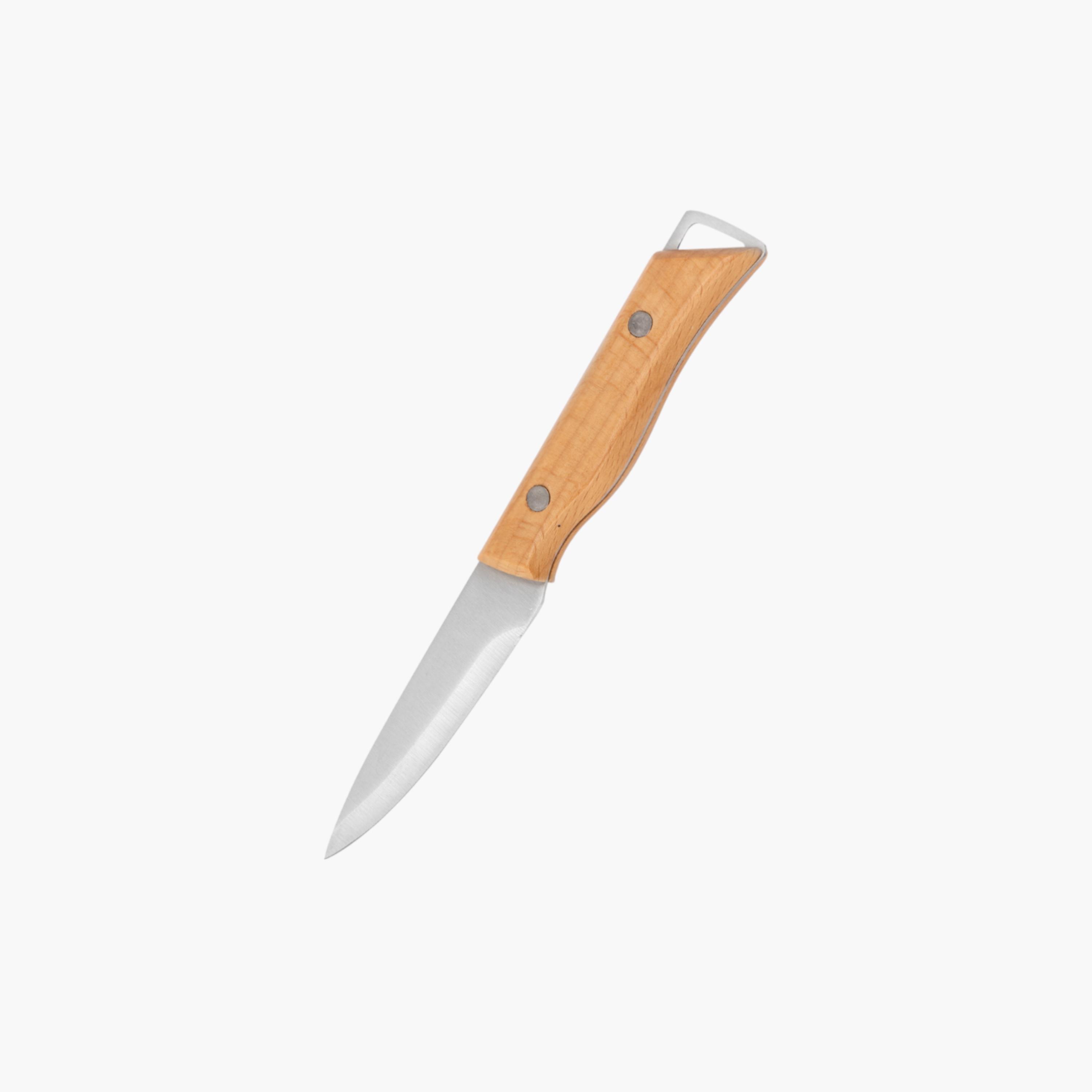 Stainless Steel Paring Knife-household-kitchen-kitchentoolsandutensils-knives-image-1