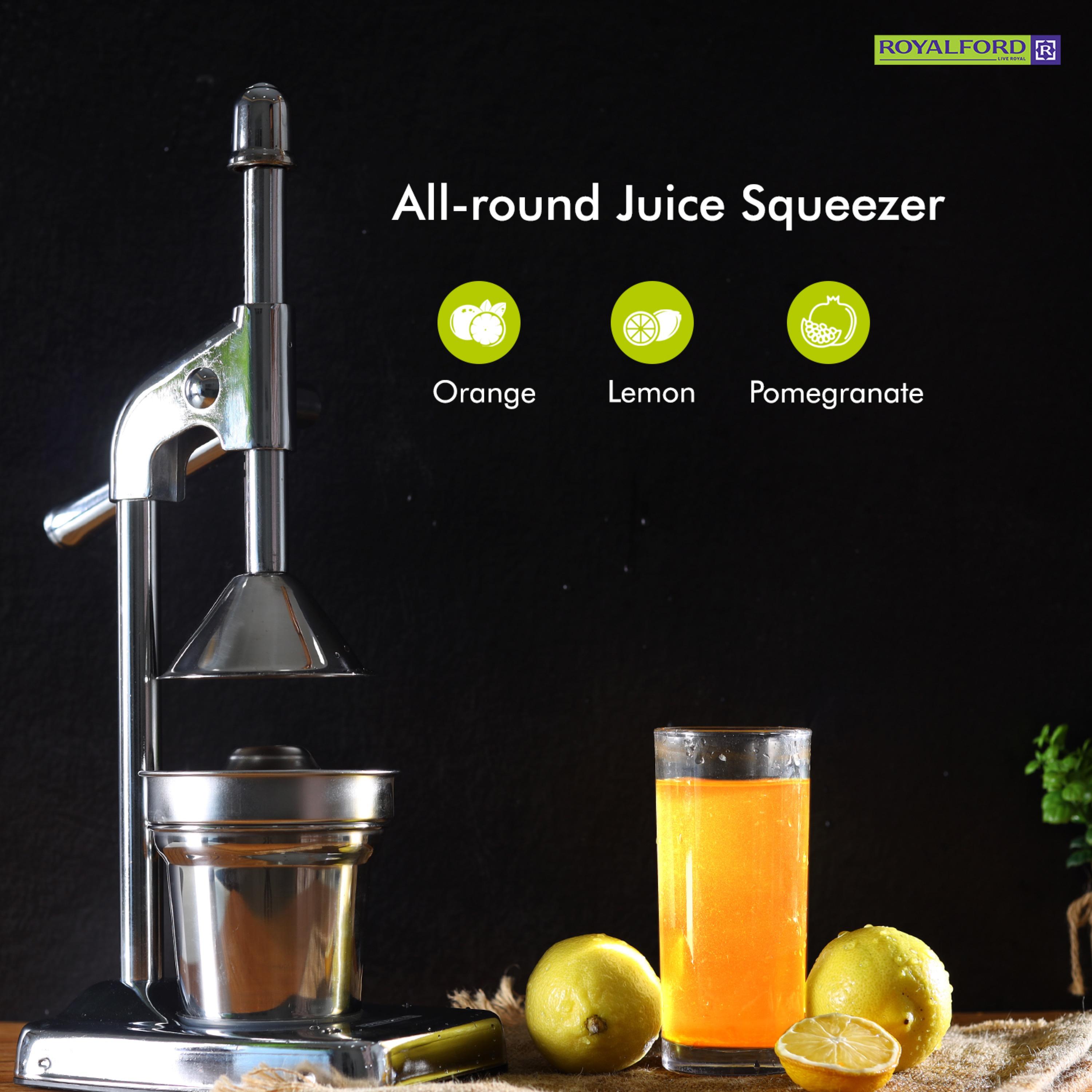 Stainless Steel Citrus Juicer-household-appliances-kitchenappliances-blendersmixersandgrinders-image-6