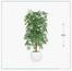 شجرة خيزران - السعادة هوم - 150 سم-InfluencerCodes_Ramadan26_All_20012026-image-4