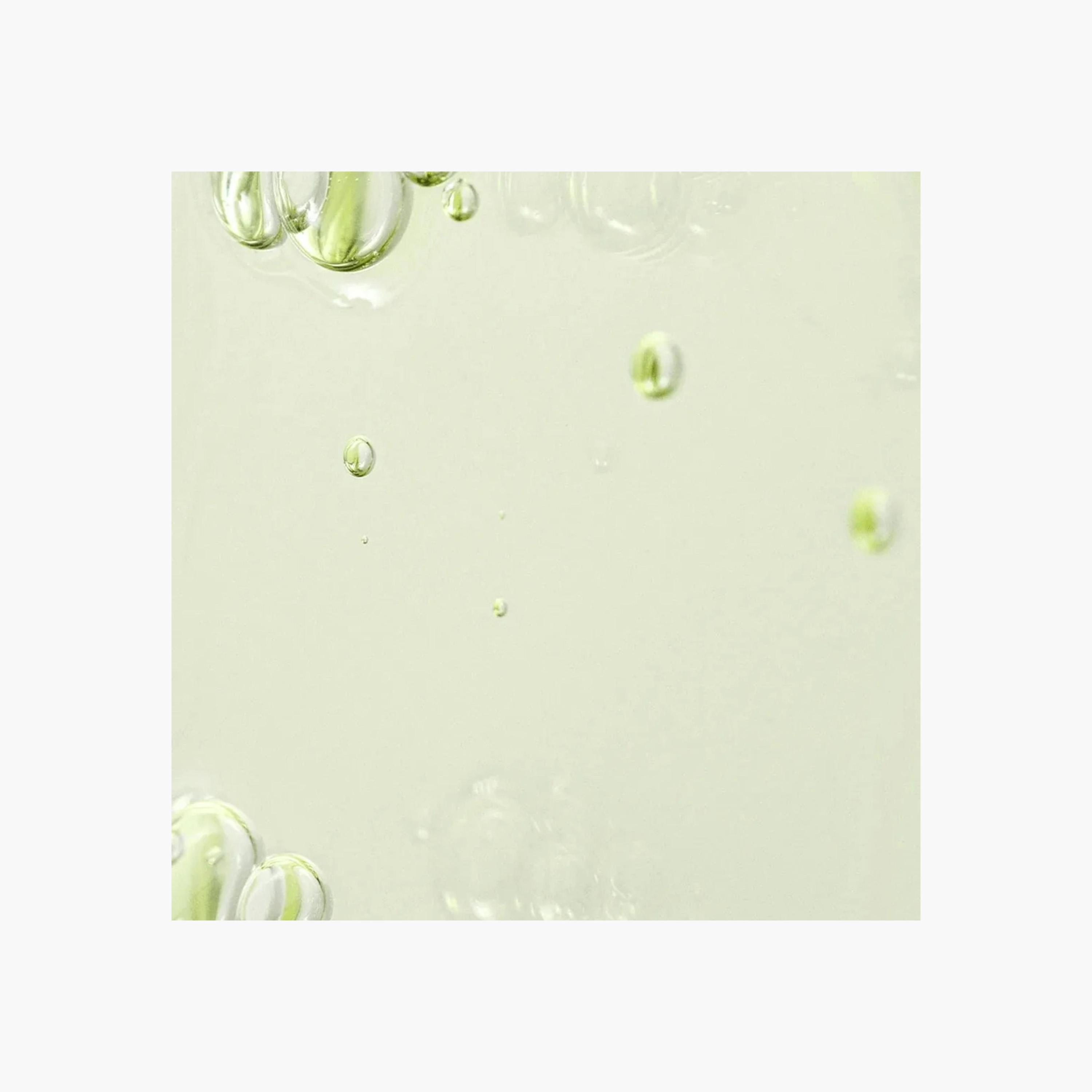 Beauty of Joseon Green Tea and Panthenol Calming Serum - 30 ml-beautyandpersonalcare-kbeauty-skin-treatmentsandserums-image-3