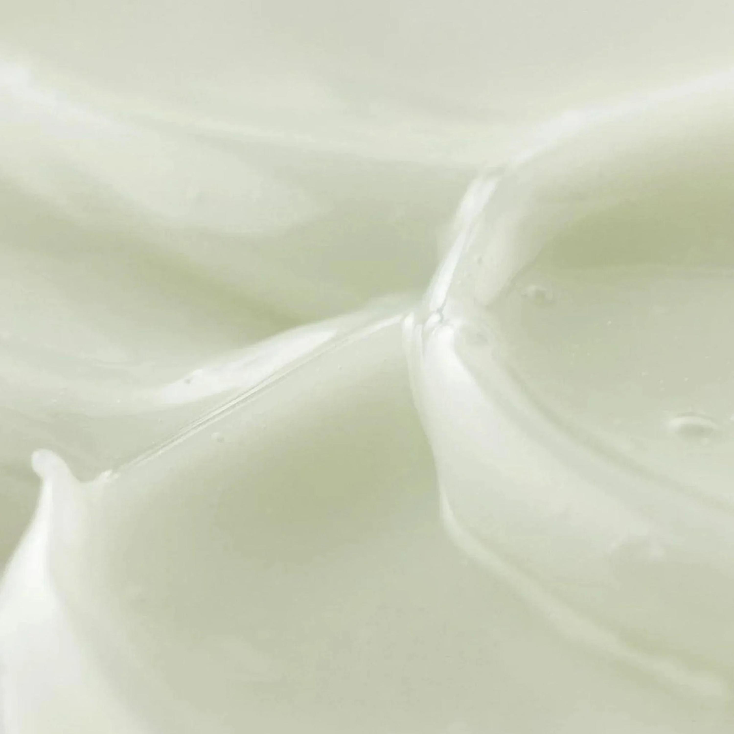 Beauty of Joseon Centella + Vita C Light On Serum - 30 ml-beautyandpersonalcare-kbeauty-skin-treatmentsandserums-image-5