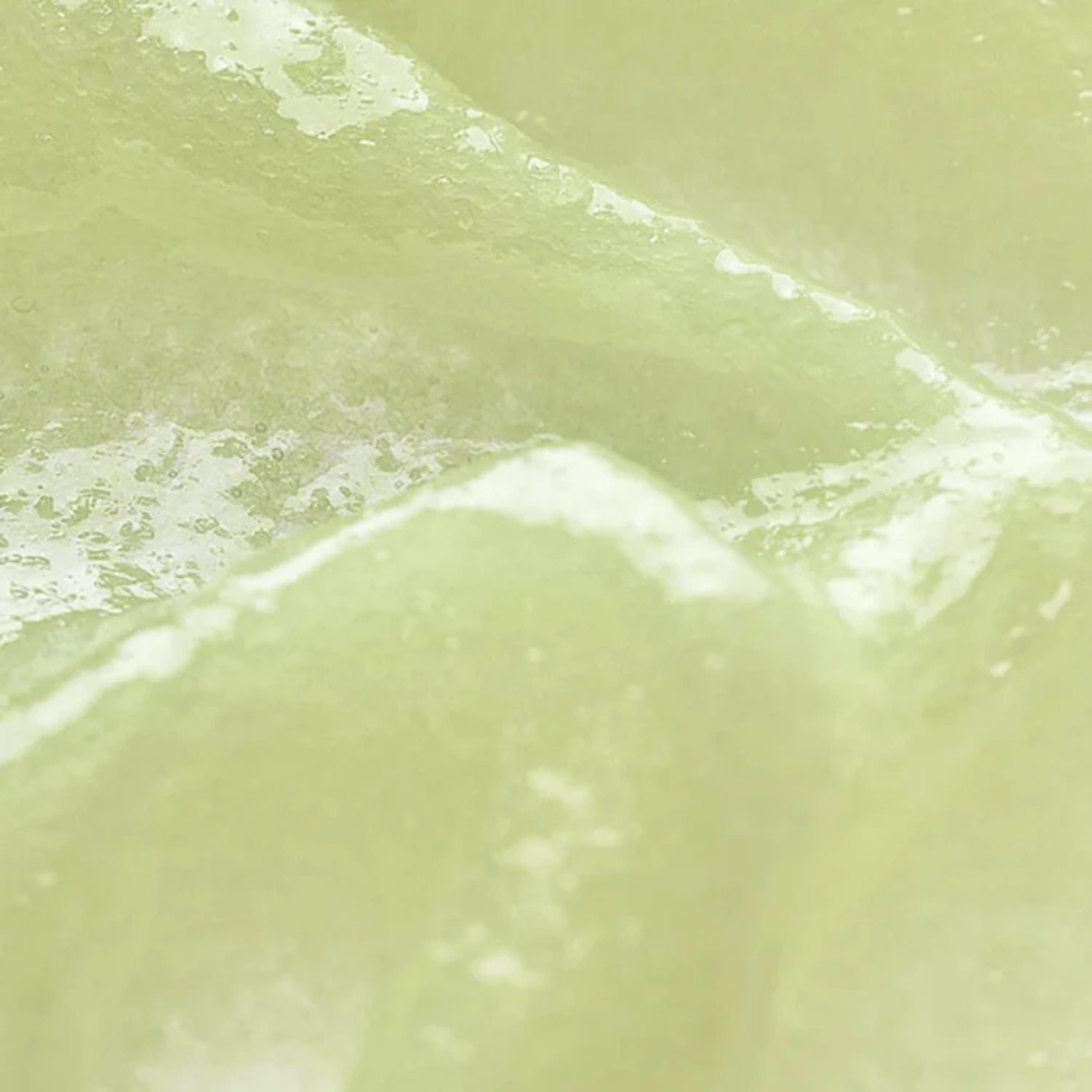 سيروم الشمس بترطيب الجينسينغ من بيوتي أوف جوزيون-beautyandpersonalcare-kbeauty-skin-treatmentsandserums-image-3