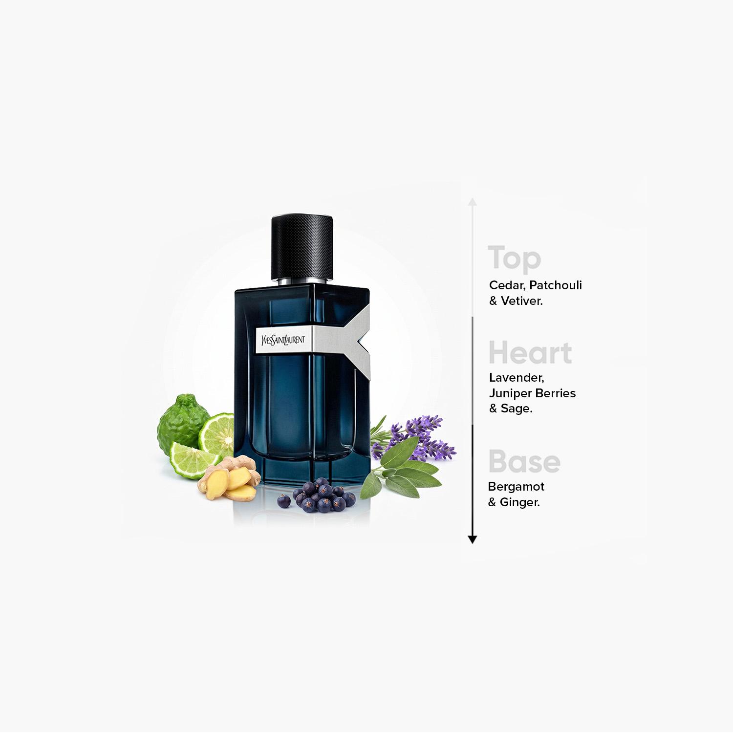 Yves Saint Laurent Y Intense Eau de Parfum for Men - 100 ml-beautyandpersonalcare-fragrance-men-image-4