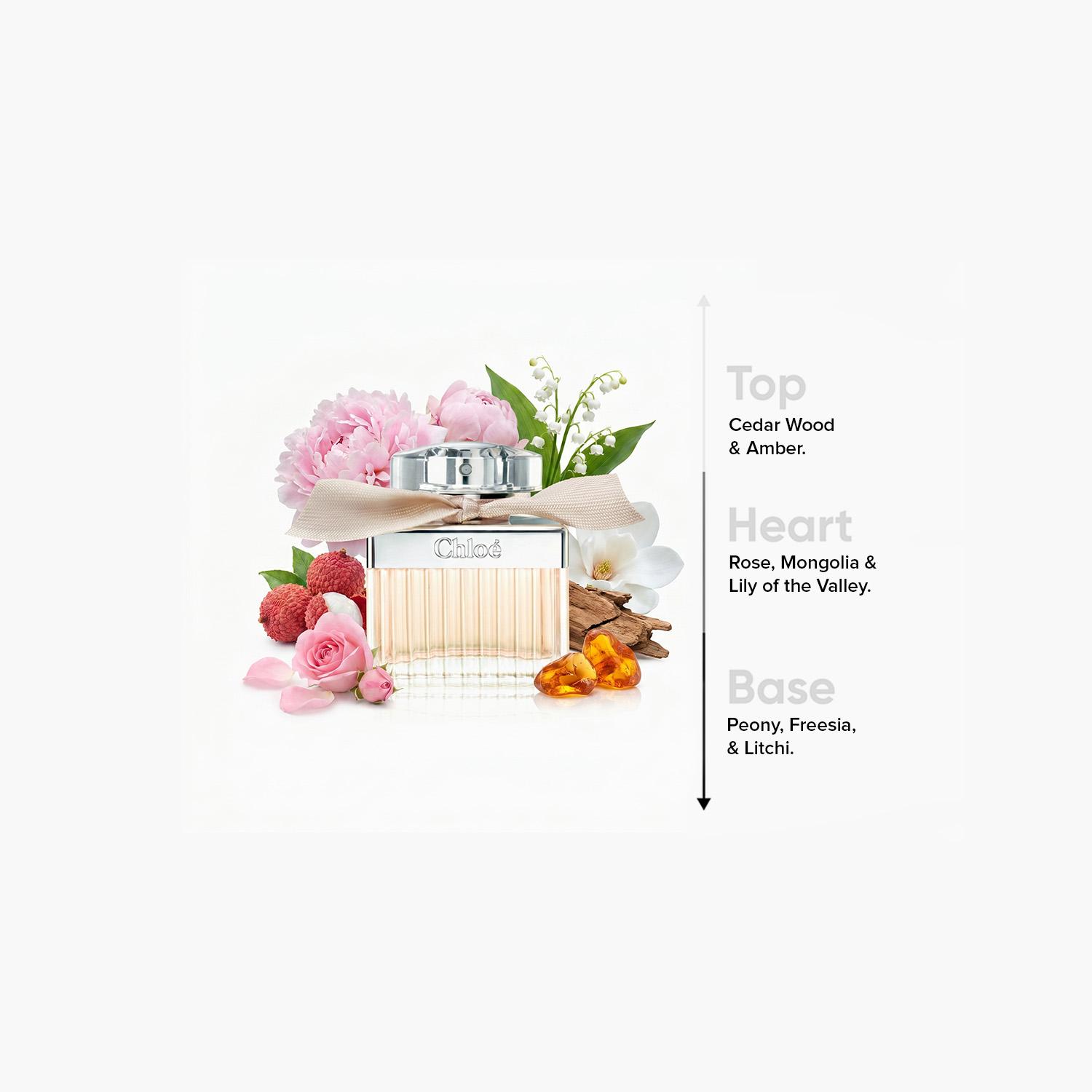 Chloe Eau de Parfum for Women - 50 ml-beautyandpersonalcare-fragrance-women-image-4