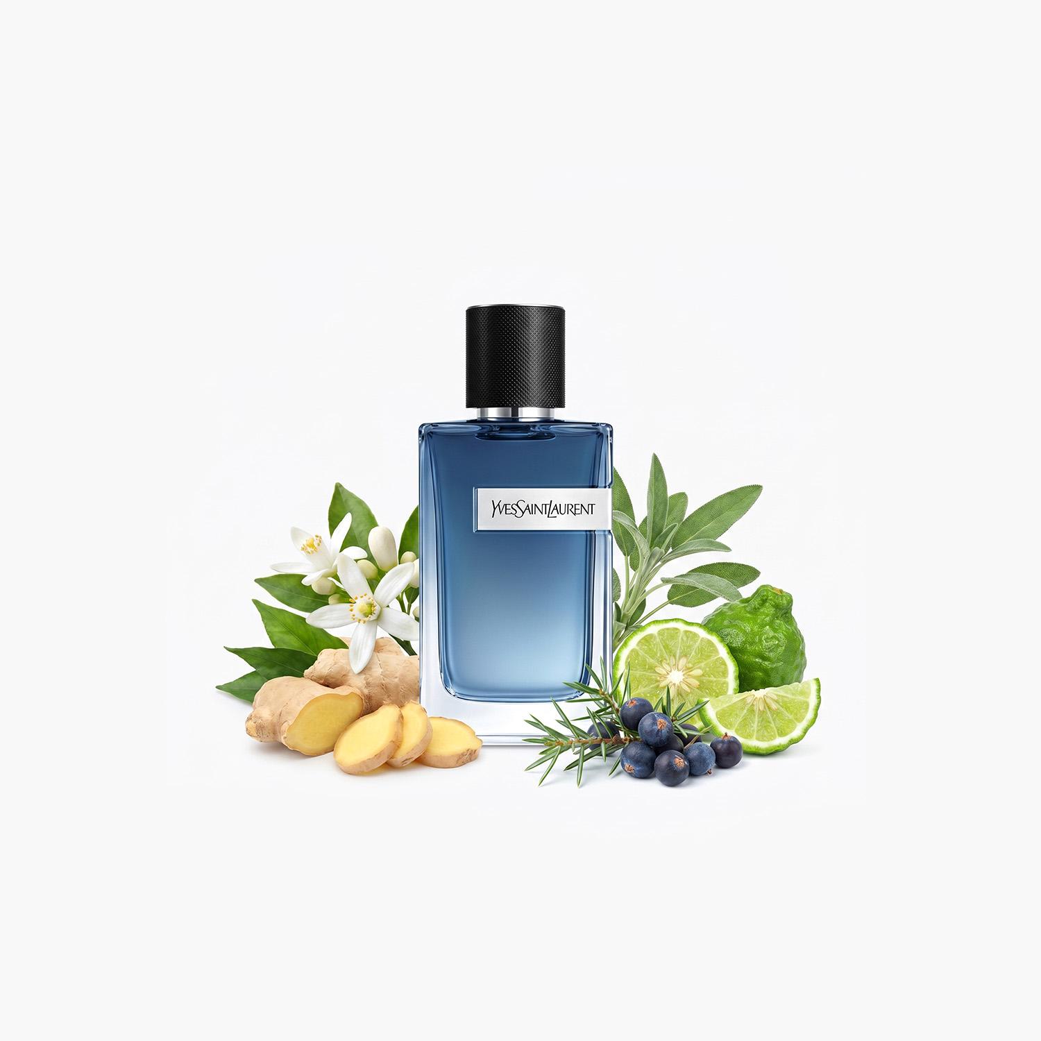 Yves Saint Laurent Y Live Intense Eau de Toilette for Men - 100 ml-beautyandpersonalcare-fragrance-men-image-3