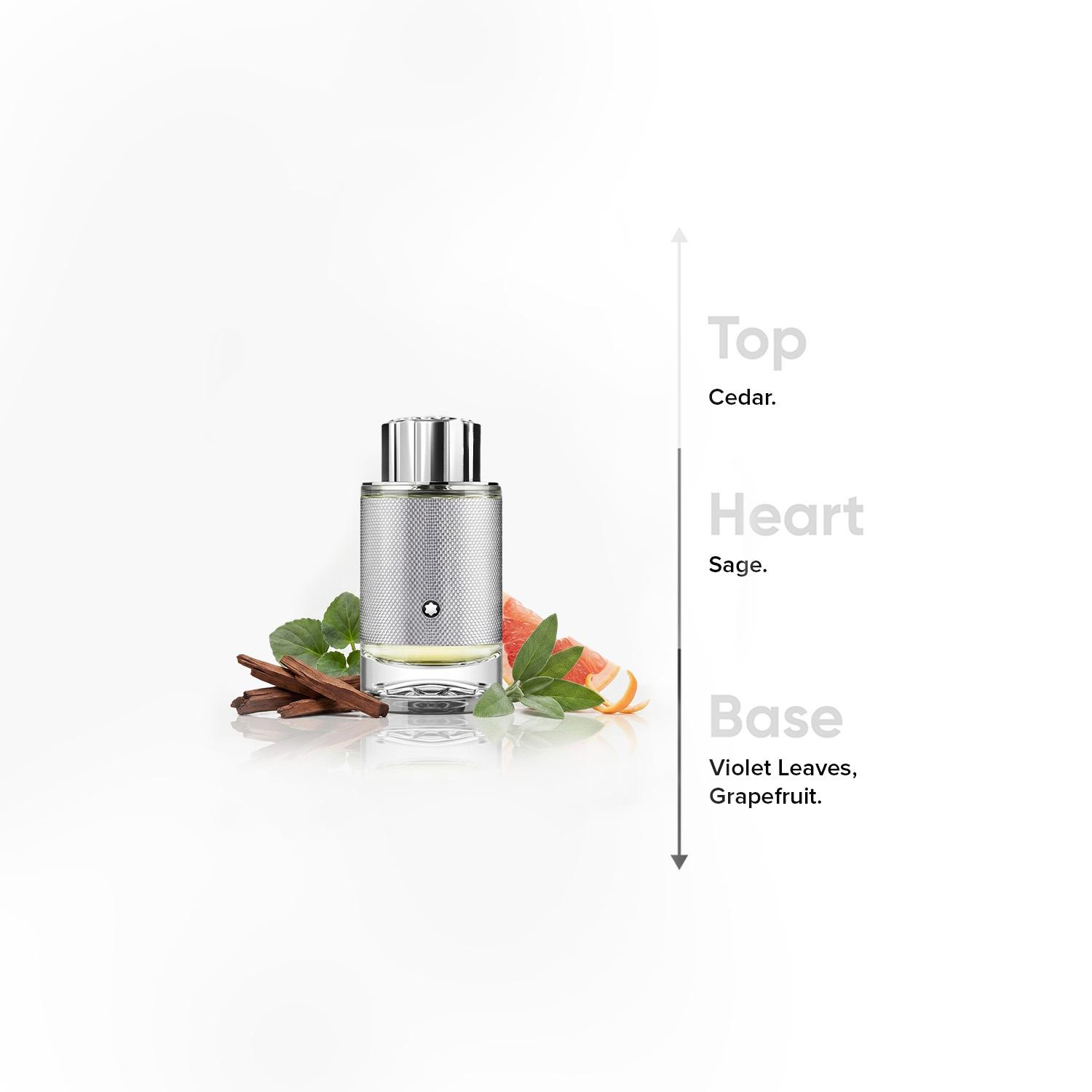 Montblanc Explorer Platinum Eau de Parfum for Men - 100 ml-beautyandpersonalcare-fragrance-men-image-4