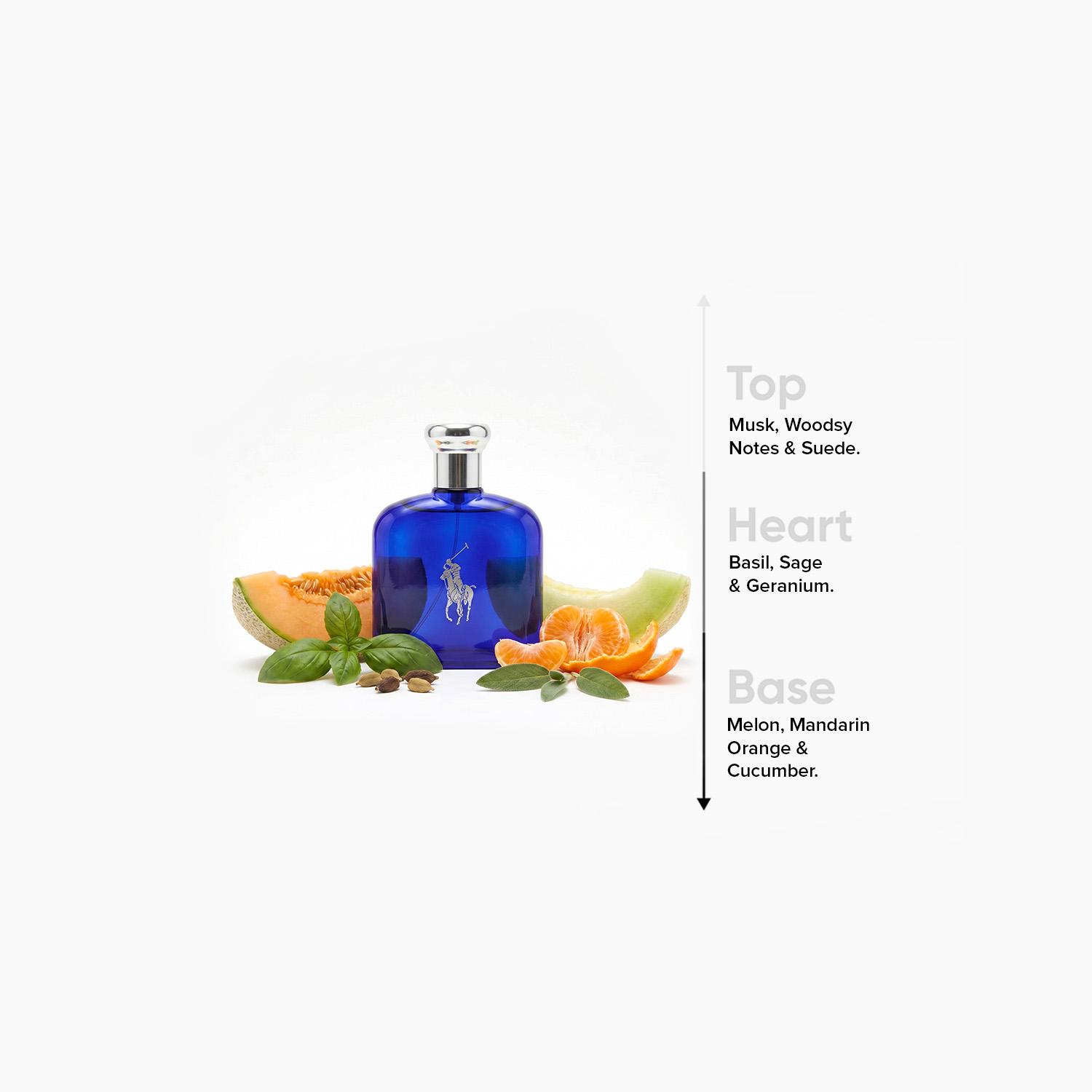 Ralph Lauren Polo Blue Eau de Toilette for Men - 125 ml-beautyandpersonalcare-fragrance-men-image-4