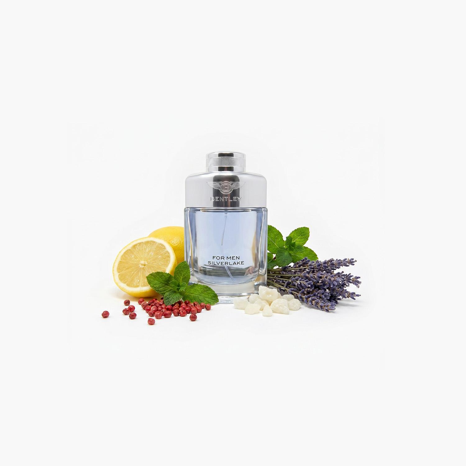 Bentley Silverlake Eau de Parfum for Men - 100 ml-beautyandpersonalcare-fragrance-men-image-3