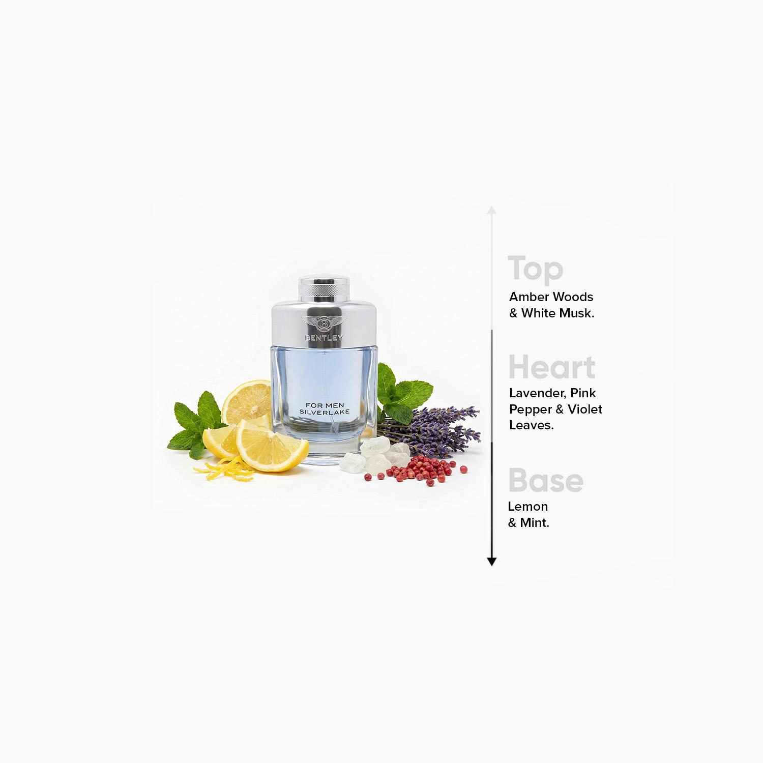 Bentley Silverlake Eau de Parfum for Men - 100 ml-beautyandpersonalcare-fragrance-men-image-4