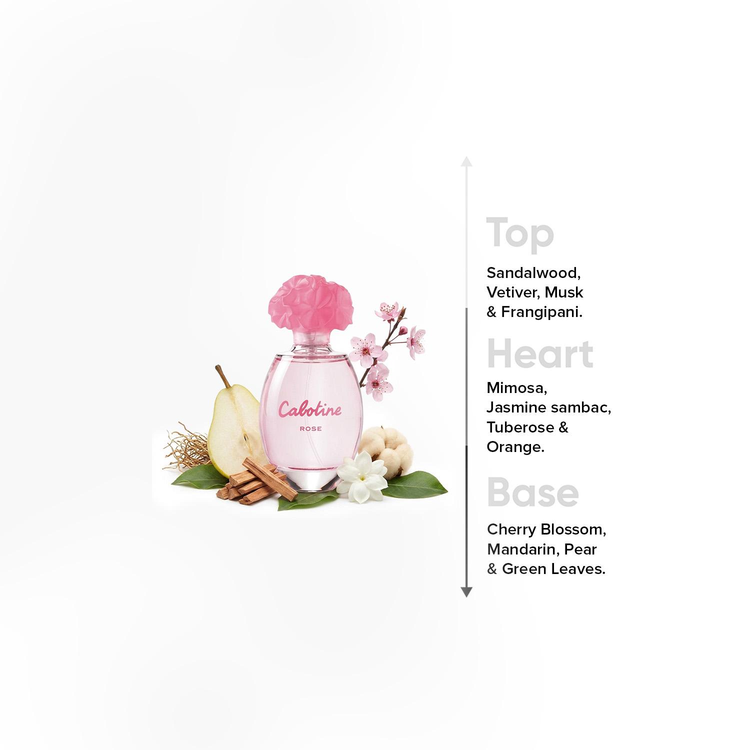 Parfums Gres Cabotine Rose Eau de Toilette for Women - 100 ml-beautyandpersonalcare-fragrance-women-image-4