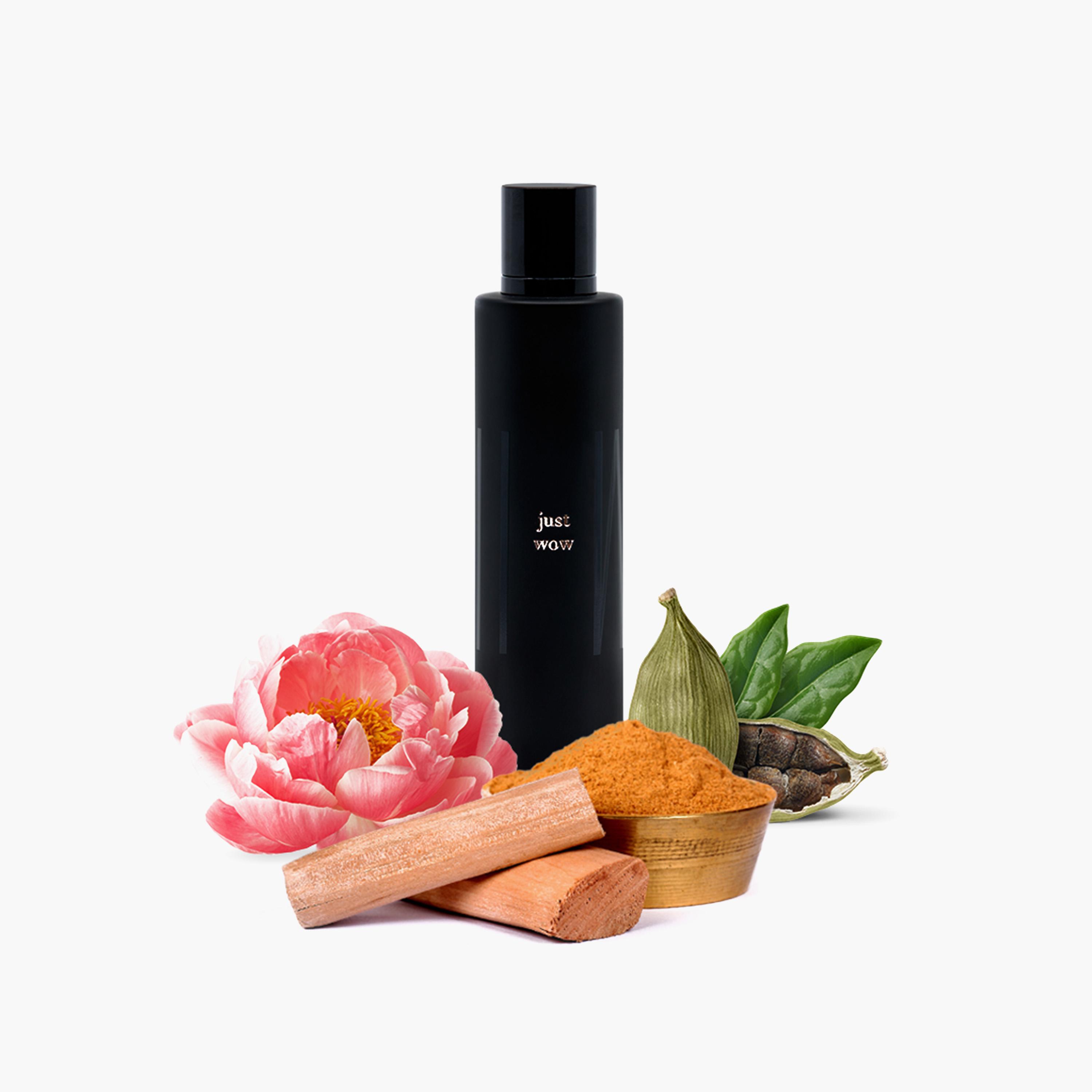 Who Am I Just Wow Eau de Parfum for Women - 100 ml-beautyandpersonalcare-fragrance-unisex-image-4