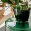 مزهرية زجاج - فيرديل ستورمز-InfluencerCodes_Ramadan26_All_20012026-image-3