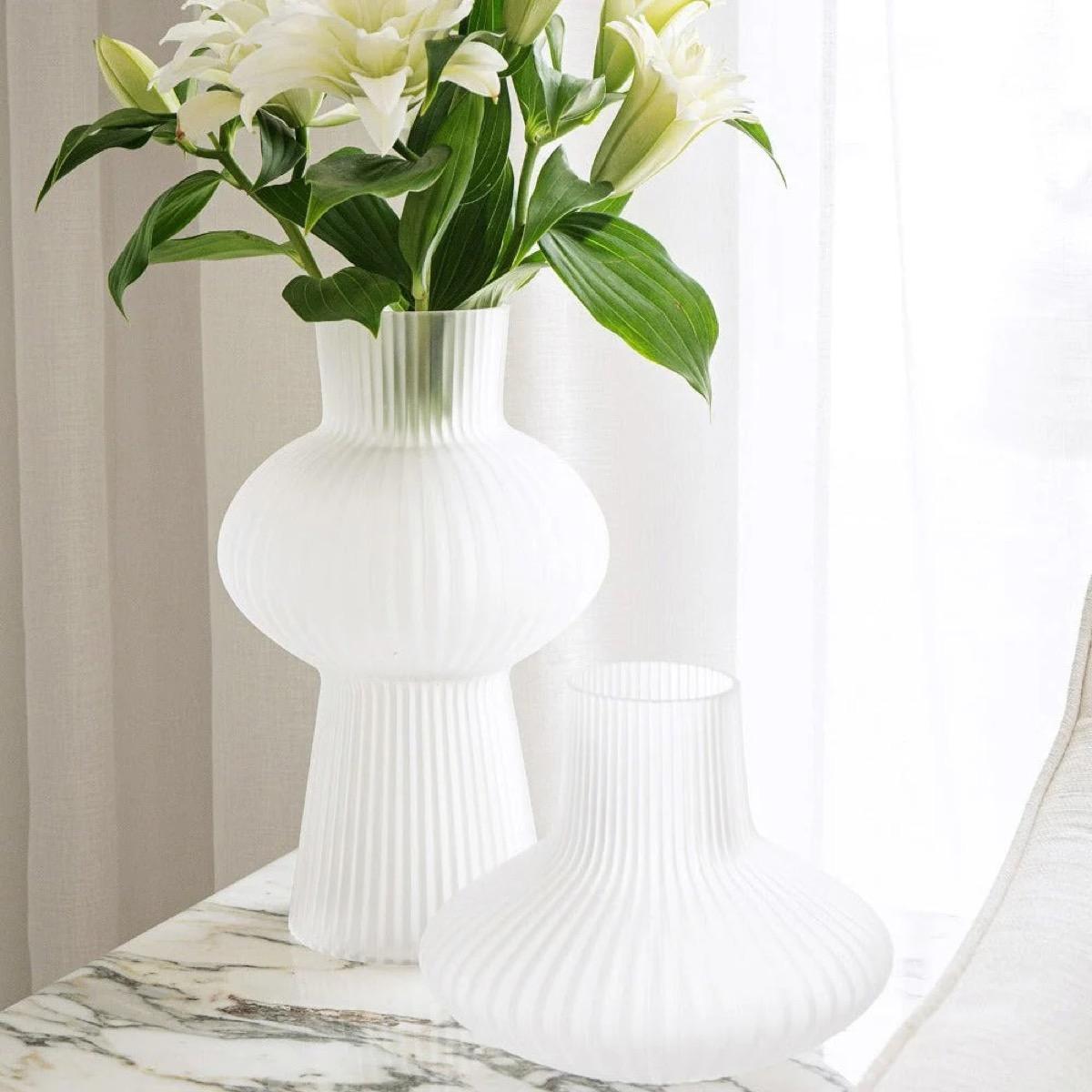 Zenya Bundle 2-Piece Glass Vase Set