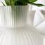 Zenya Bundle 2-Piece Glass Vase Set-InfluencerCodes_Ramadan26_All_20012026-image-6