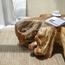 طاولة قهوة خشب ساج - ديليار-InfluencerCodes_Ramadan26_All_20012026-image-4