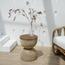 Inaya Wodden Top Side Table-InfluencerCodes_Ramadan26_All_20012026-image-2