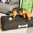 Fatboy Doggie Lounge Olefin Large Fabric Dog Bed-InfluencerCodes_Ramadan26_All_20012026-image-7