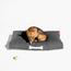 Fatboy Doggie Lounge Olefin Small Fabric Dog Bed-InfluencerCodes_Ramadan26_All_20012026-image-10