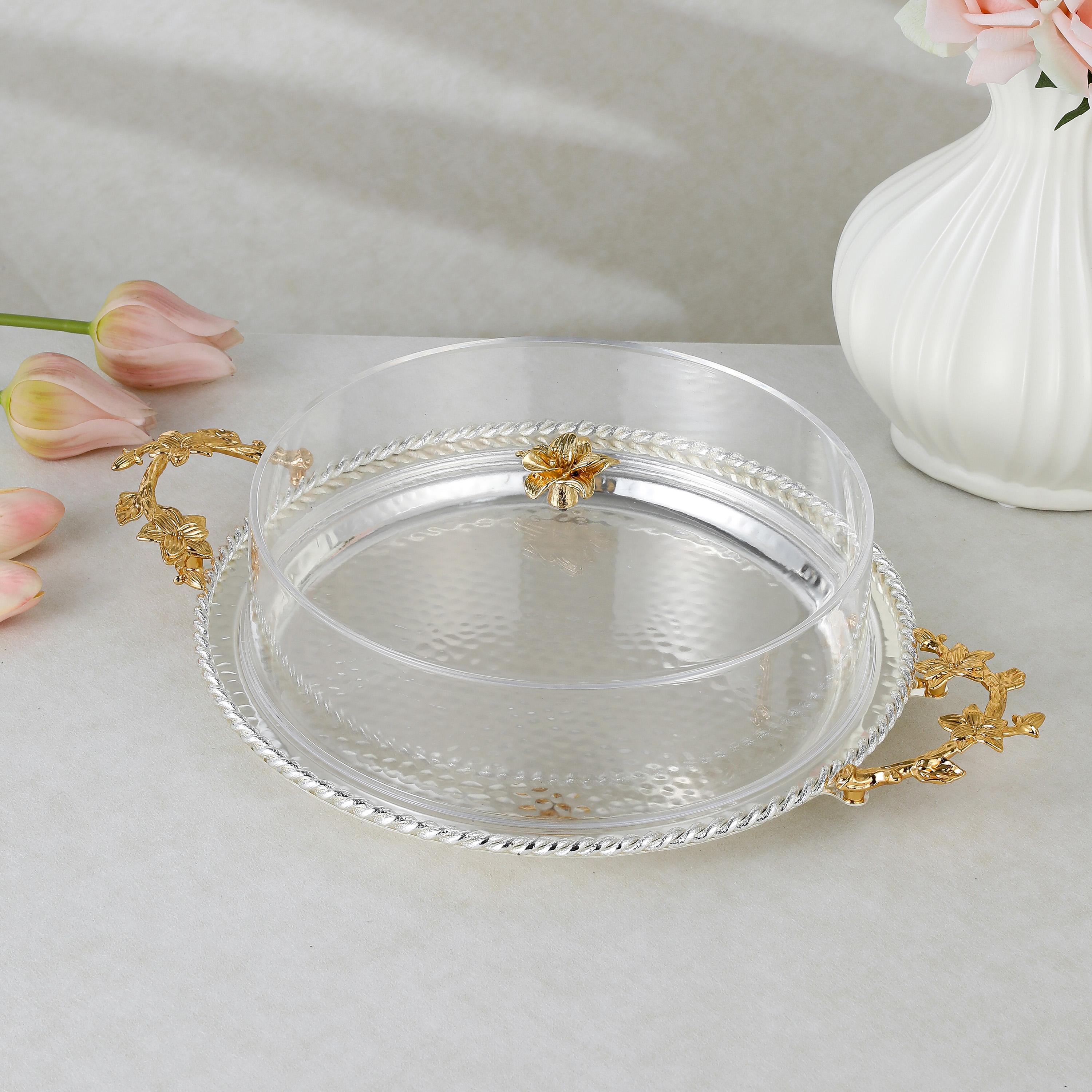 صينية تقديم ستانلس ستيل مع غطاء من أوتانتيك-household-dining-serveware-servingtrays-image-1