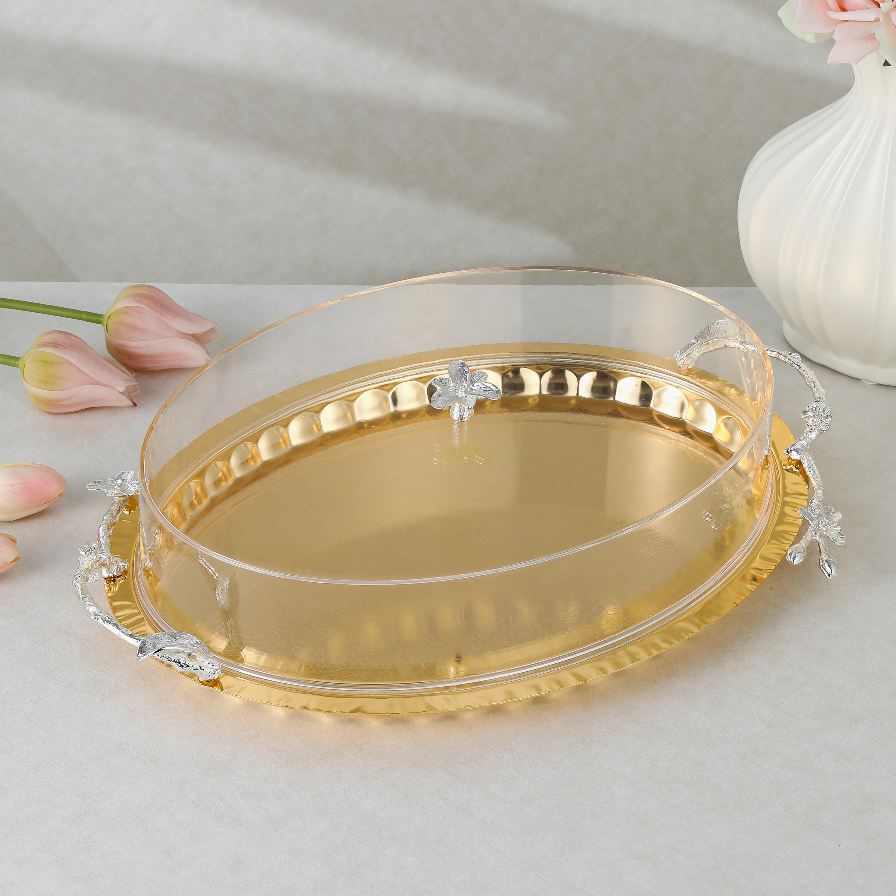 Stainless Steel Serving Tray with Lid-household-dining-serveware-servingtrays-image-1