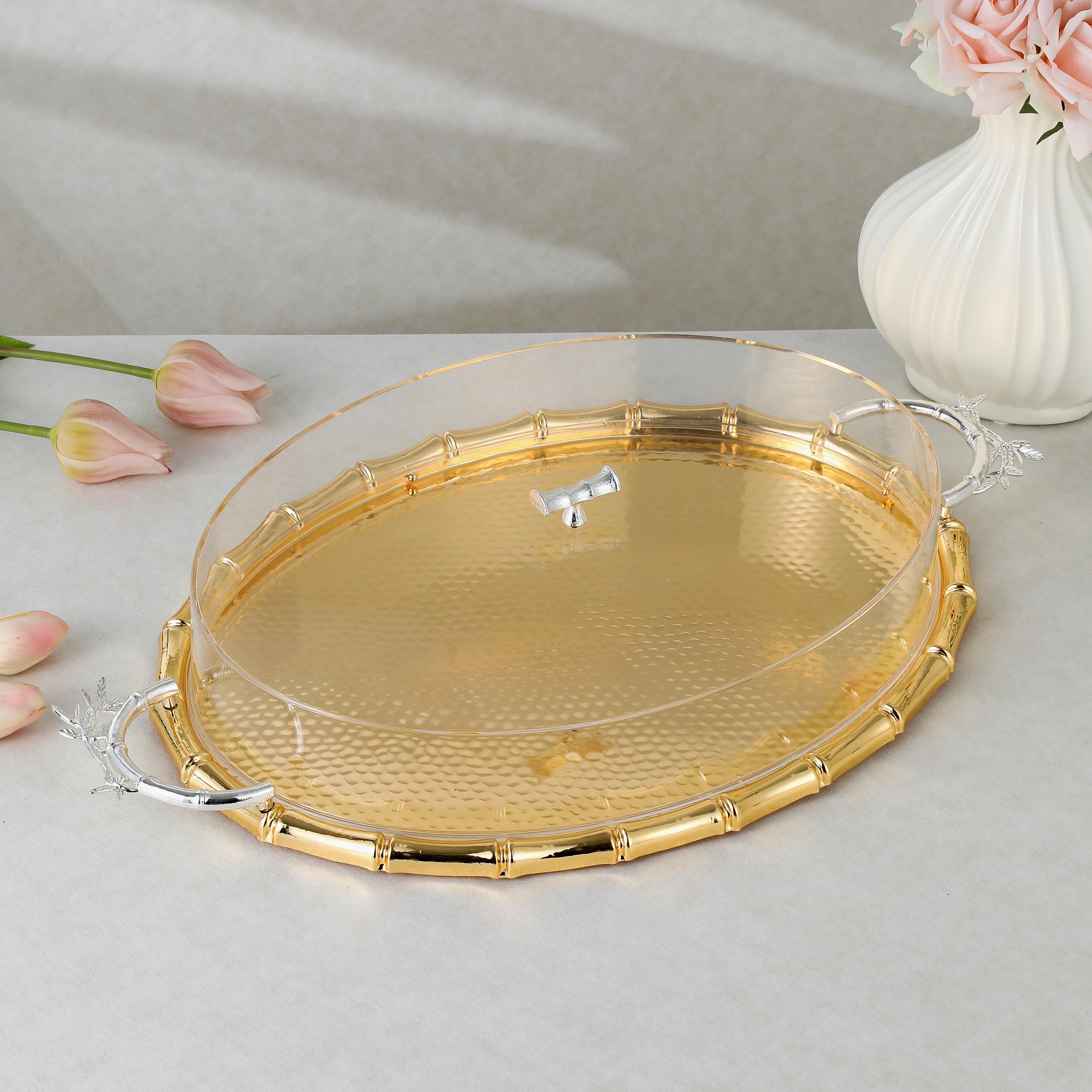 Oval Stainless Steel Serving Tray with Lid-household-dining-serveware-servingtrays-image-1