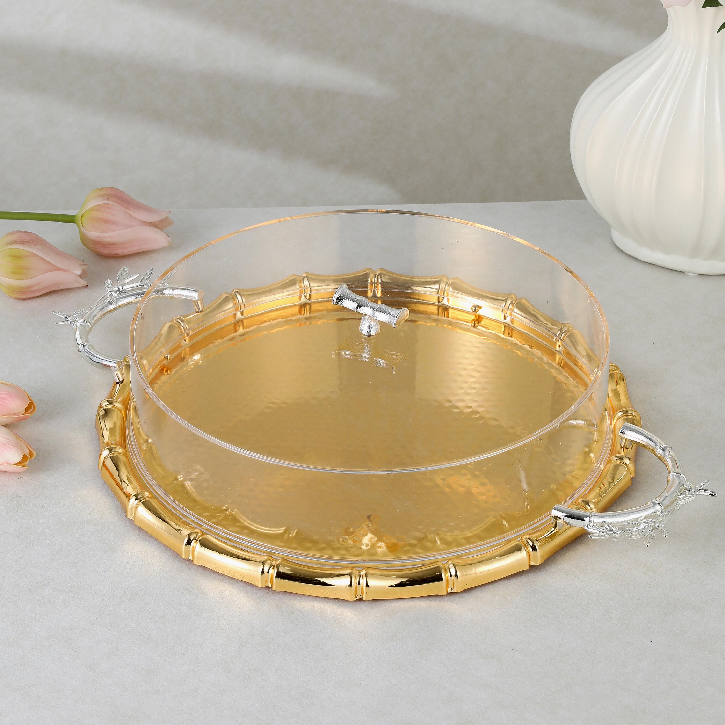 صينية تقديم ستانلس ستيل مع غطاء من أوتانتيك-household-dining-serveware-servingtrays-image-1