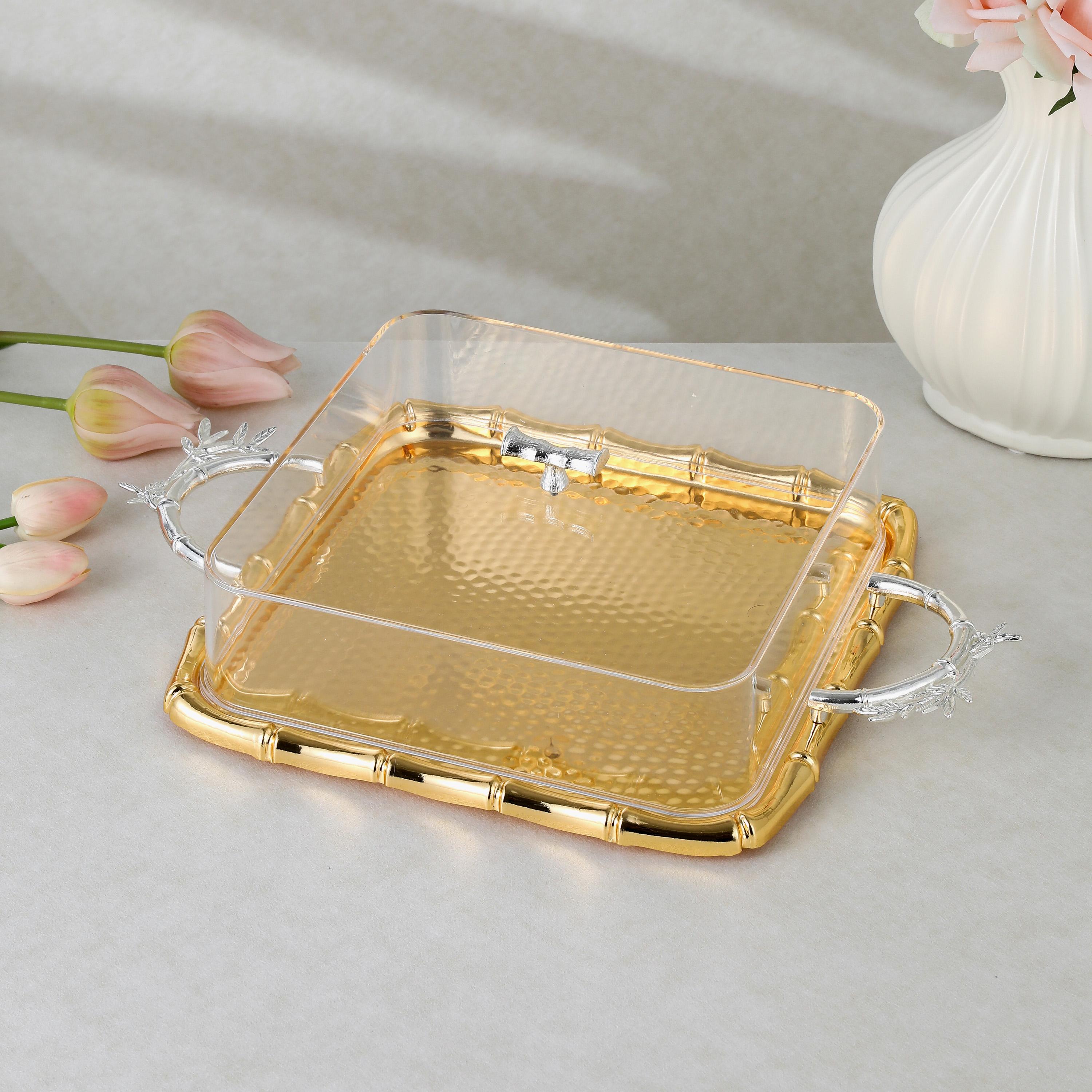 صينية تقديم ستانلس ستيل مع غطاء من أوتانتيك-household-dining-serveware-servingtrays-image-1