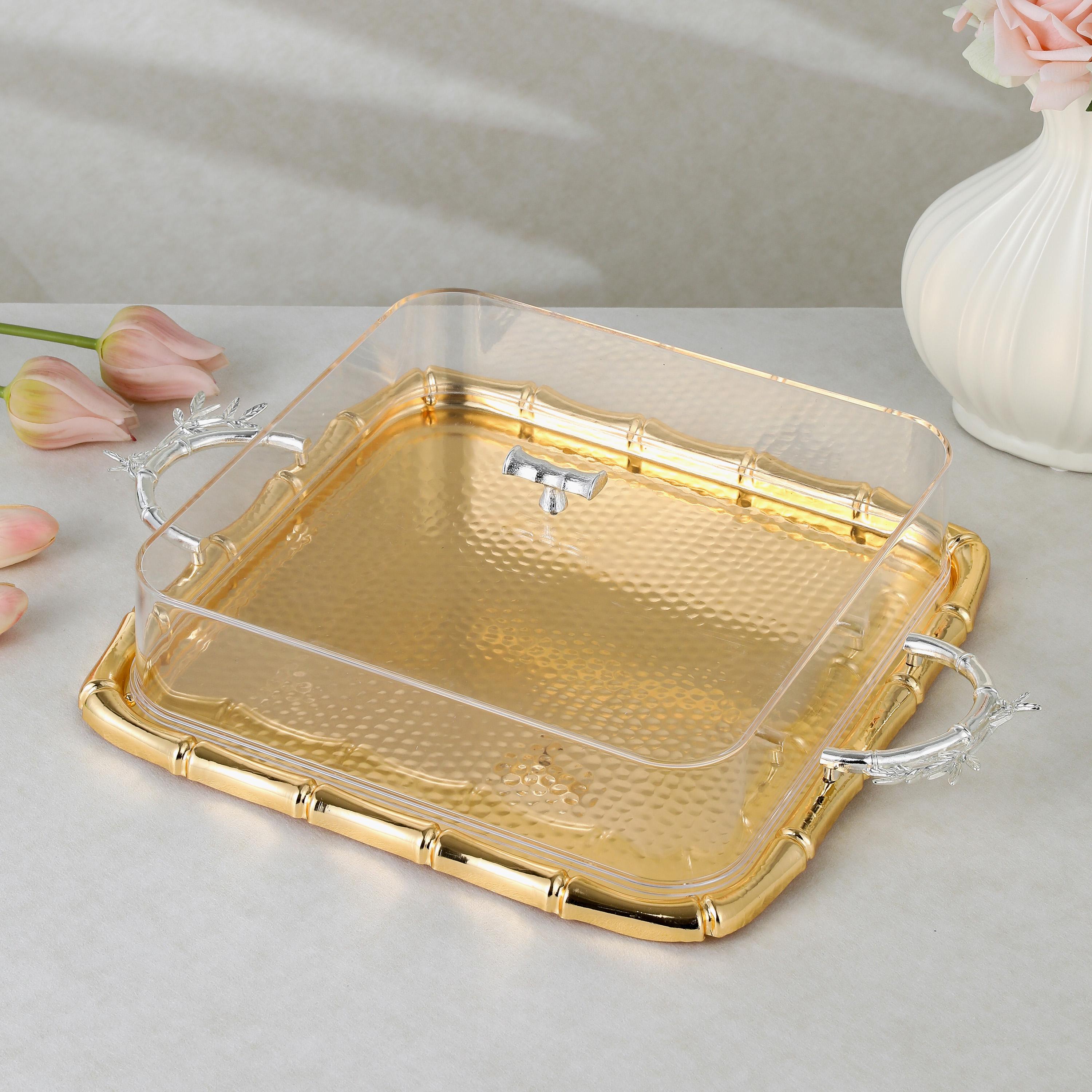 صينية تقديم ستانلس ستيل مع غطاء من أوتانتيك-household-dining-serveware-servingtrays-image-1
